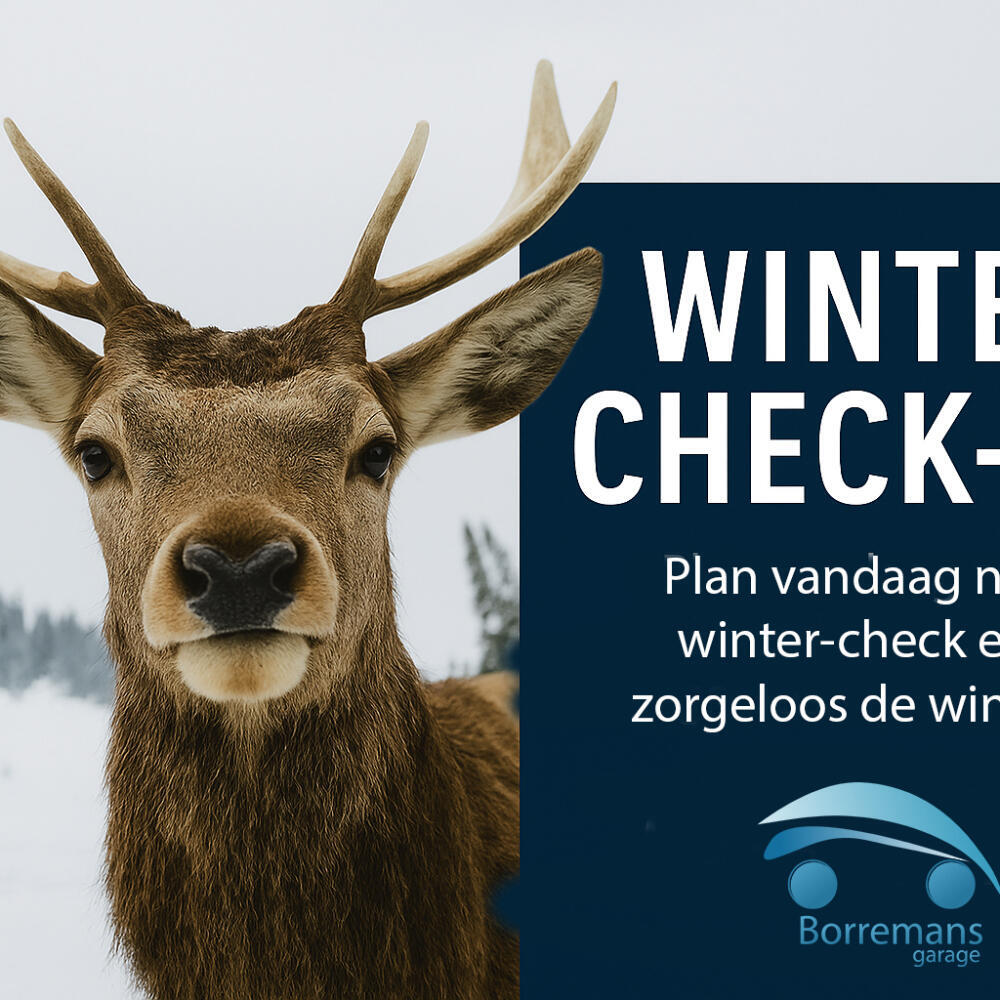 Kom Langs voor uw Winter Check-up