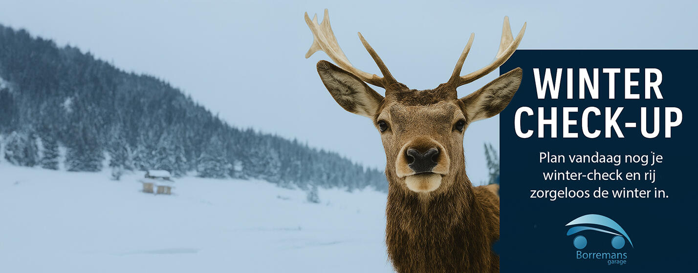 Kom Langs voor uw Winter Check-up